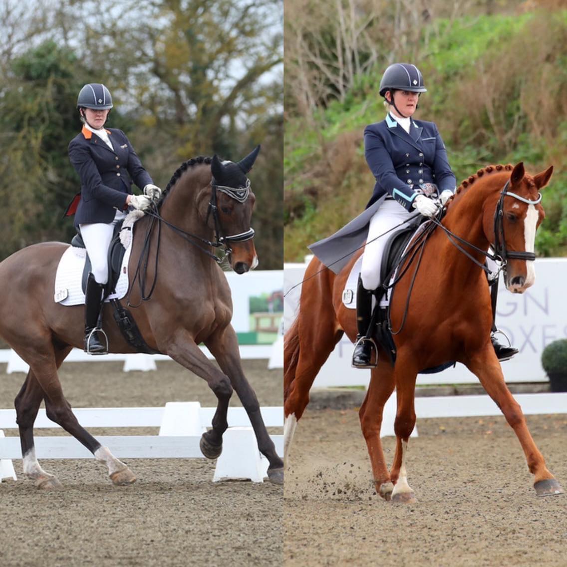 Katy Applin signs both of her dancing dressage horses up on subscription.