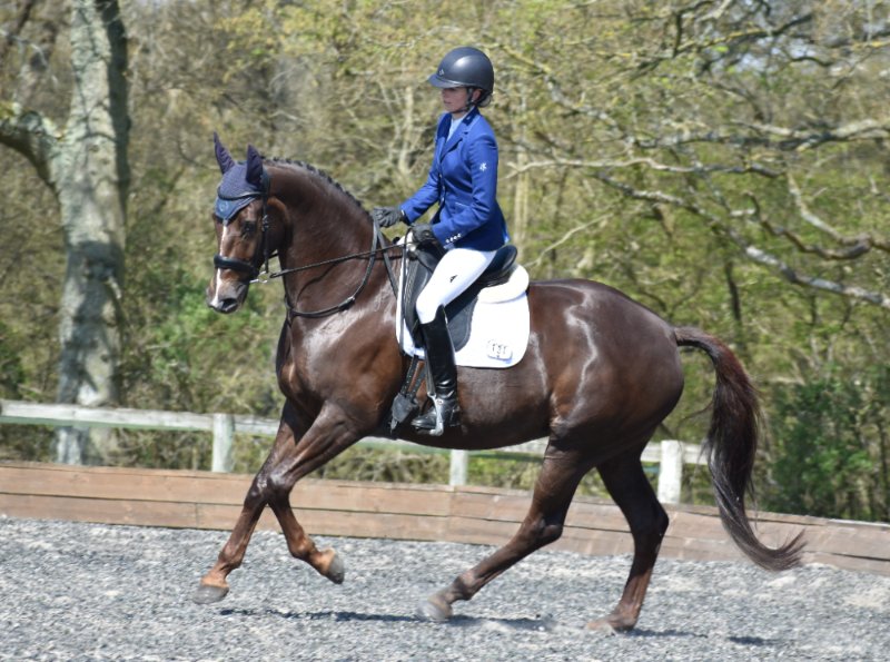 Liquid Caalm transforms Jenny's mare into a dressage reserve Champion!