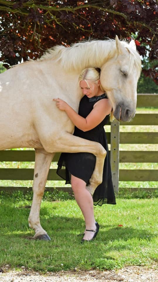 Horses.. Great therapists and often life savers!!